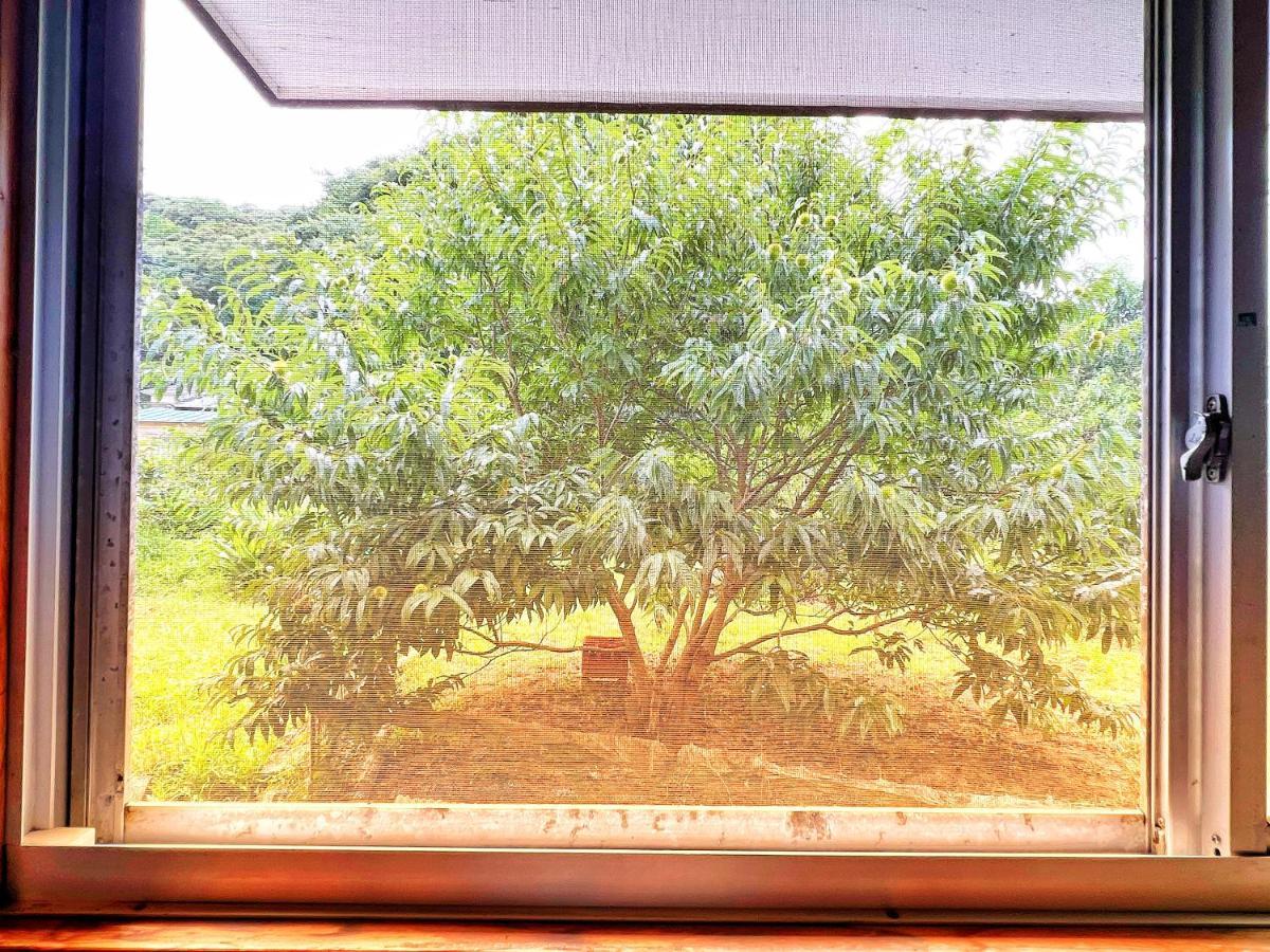 Hotel Iriyama-So Shimoda  Esterno foto